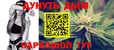 сатива Новодвинск