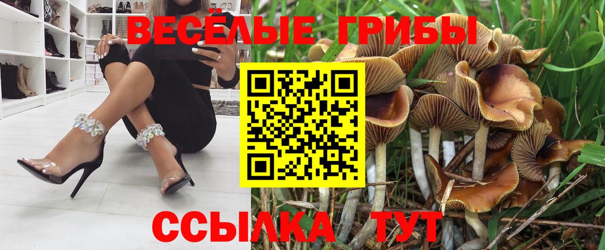 Галлюциногенные грибы Psilocybine cubensis  Вход с VPN  Отрадный  Галлюциногенные грибы MAGIC MUSHROOMS 